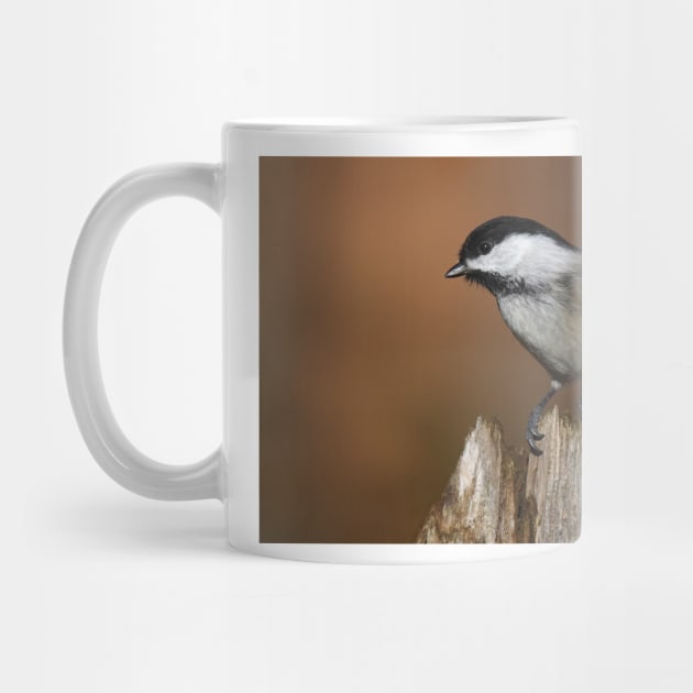 Chickadee by Jim Cumming